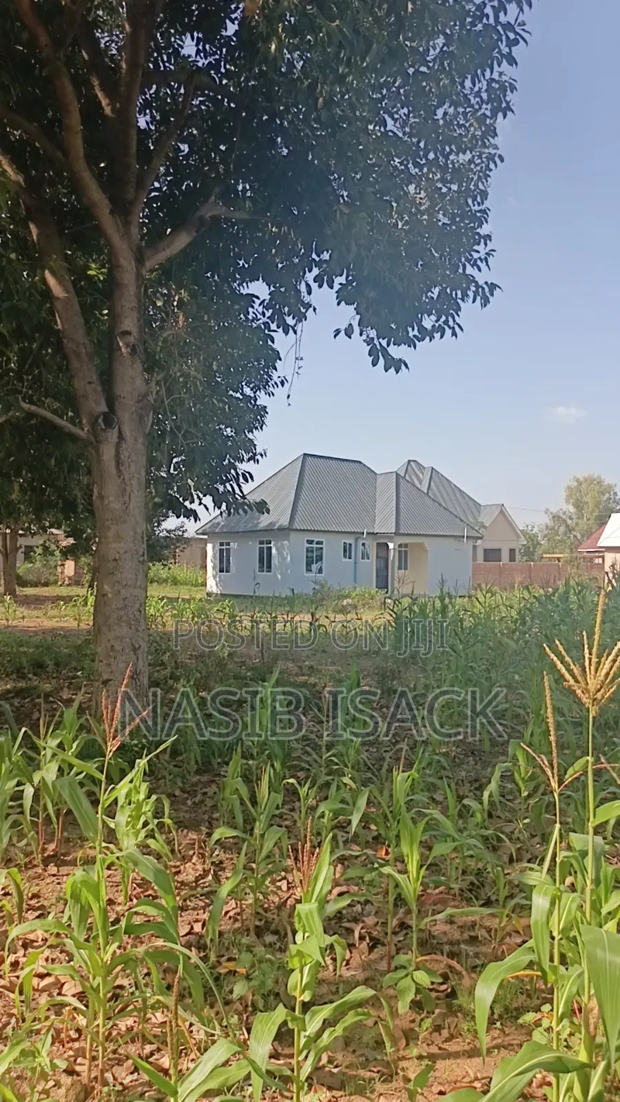 Plot for Sale Mwanza Busweru in Buswelu