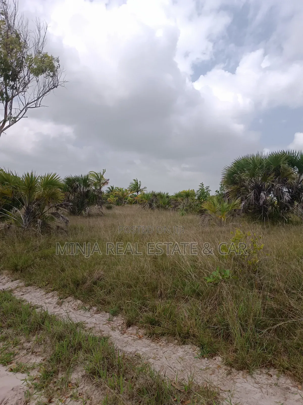 Cheap 37 Acres of the Industrial Plot for Sale Kisarawe Ii in Kigamboni