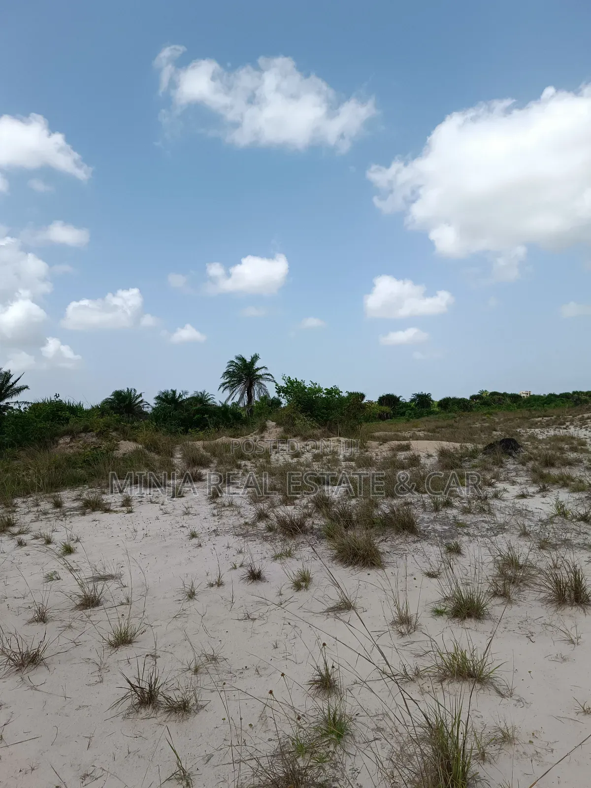 Cheap Plot for Sale Kisarawe Ii 40 Acres in Kigamboni