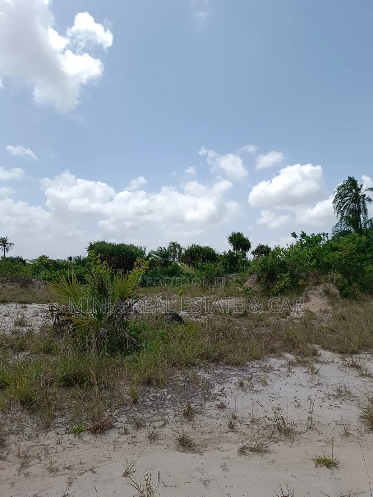 Cheap Plot for Sale Kisarawe Ii 40 Acres in Kigamboni