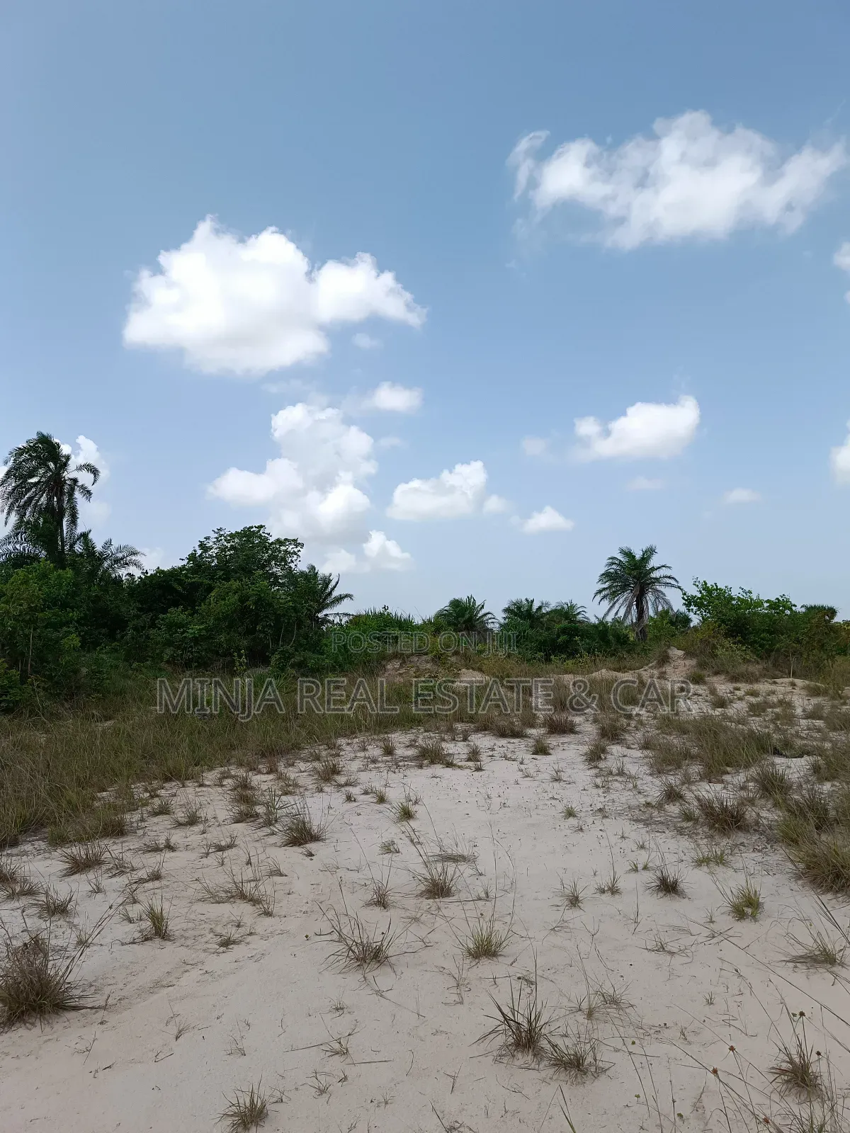 Cheap Plot for Sale Kisarawe Ii 40 Acres in Kigamboni