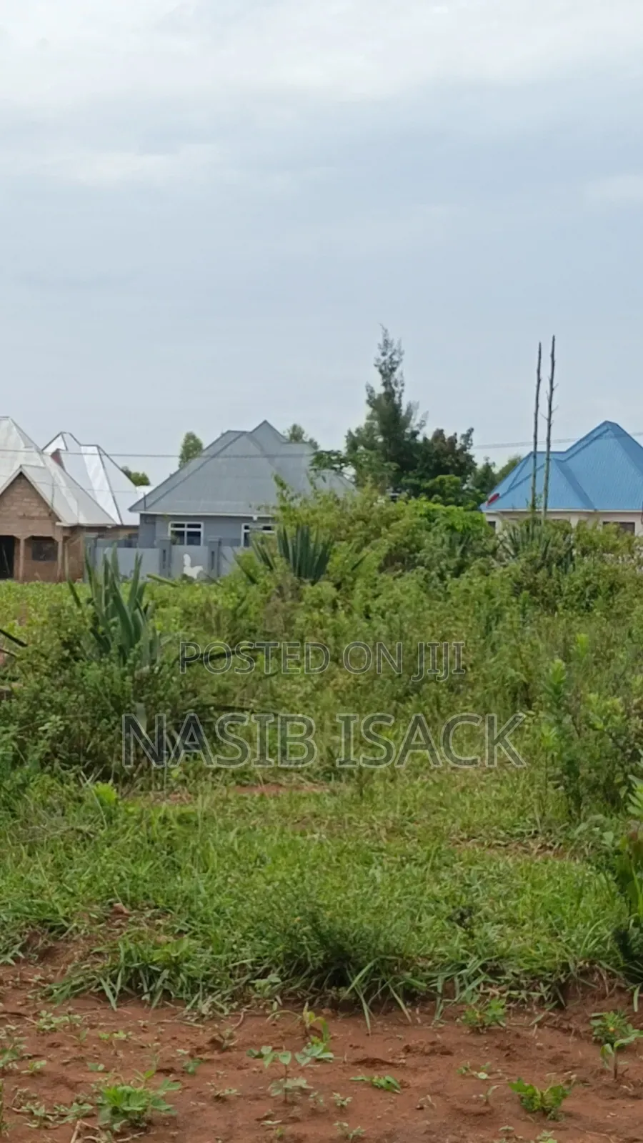 Plot for Sale Mwanza Ilemela Busweru in Buswelu