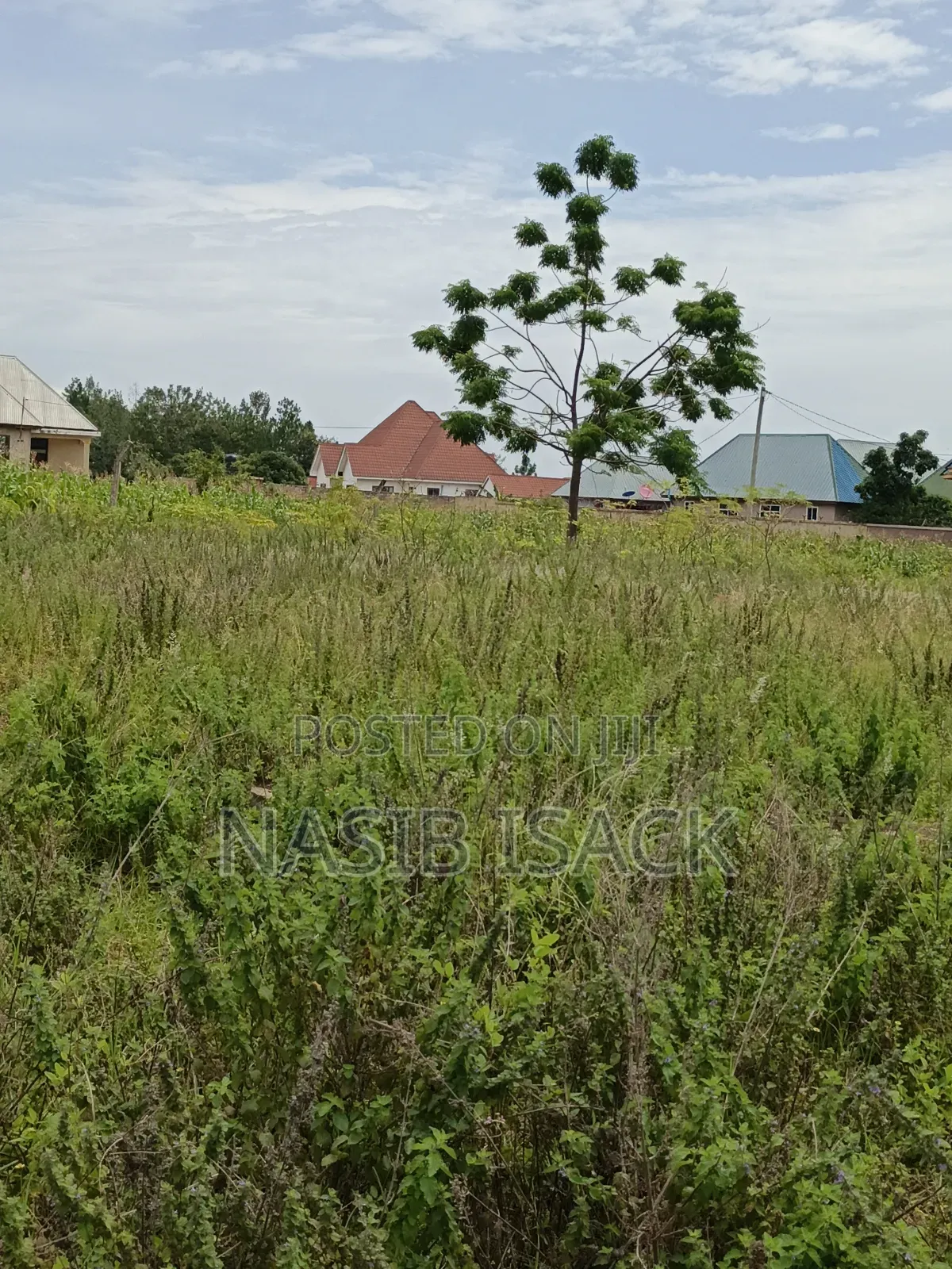 Plot for Sale Mwanza Busweru Wilayan in Buswelu