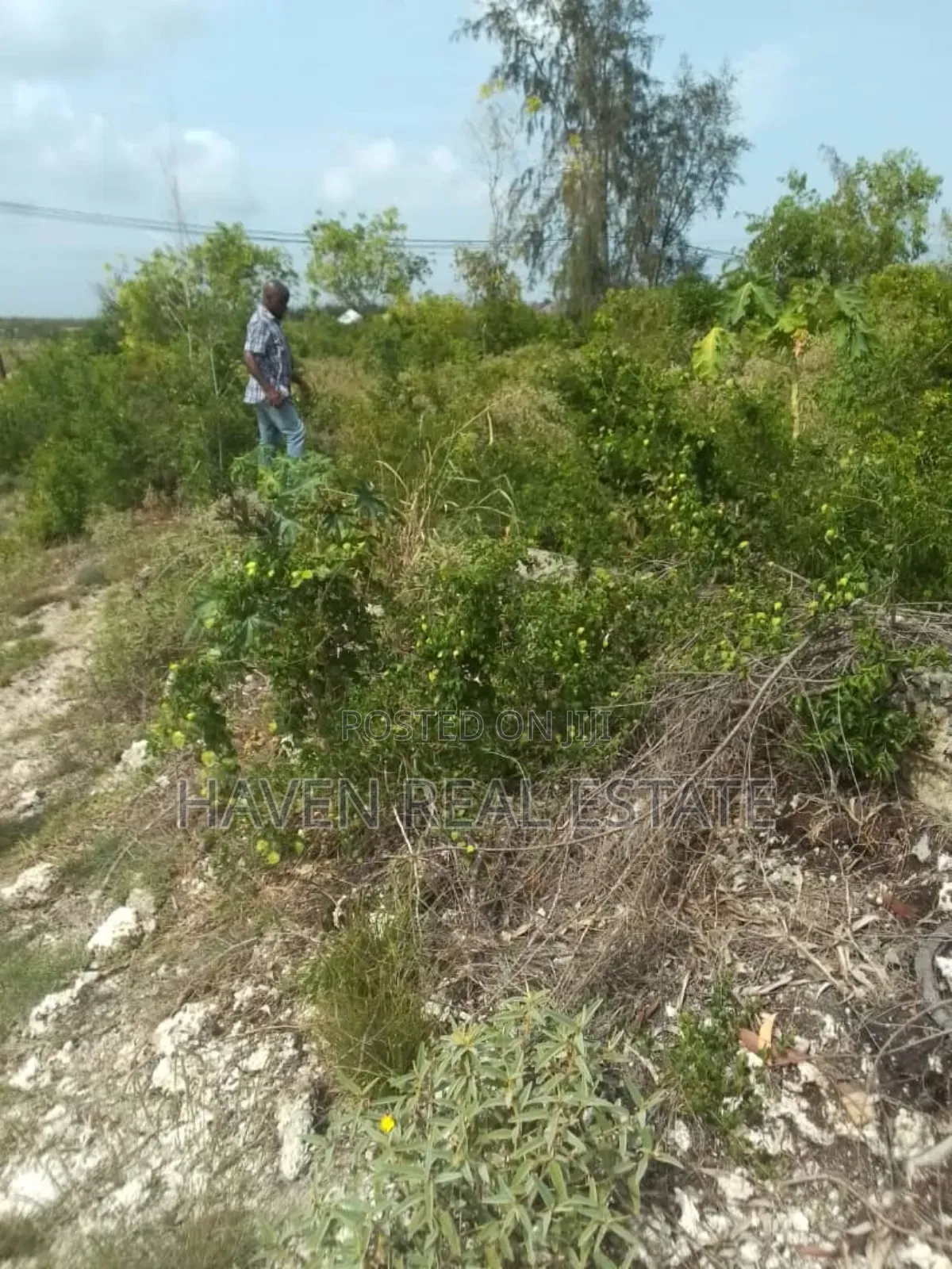 Colmercial Plot for Sale at Paje Zanzibar in Unguja North