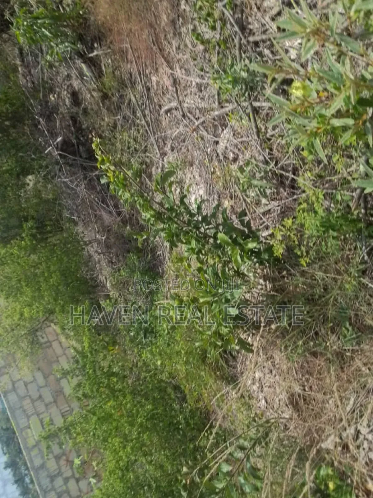 Colmercial Plot for Sale at Paje Zanzibar in Unguja North