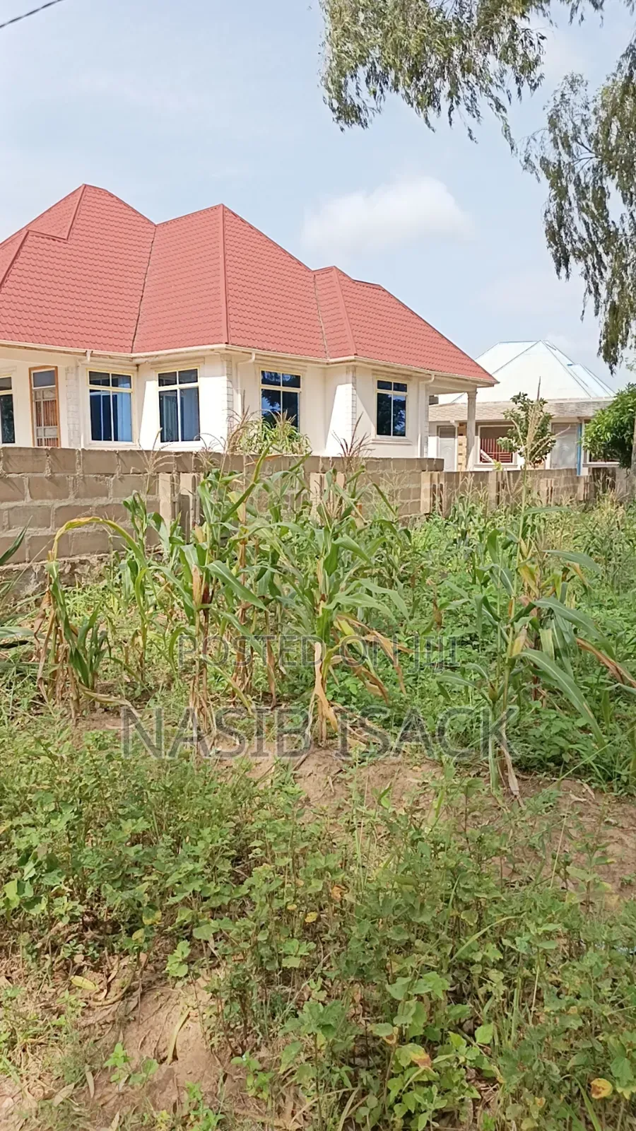 Plot for Sale Mwanza Ilemela Busweru in Buswelu