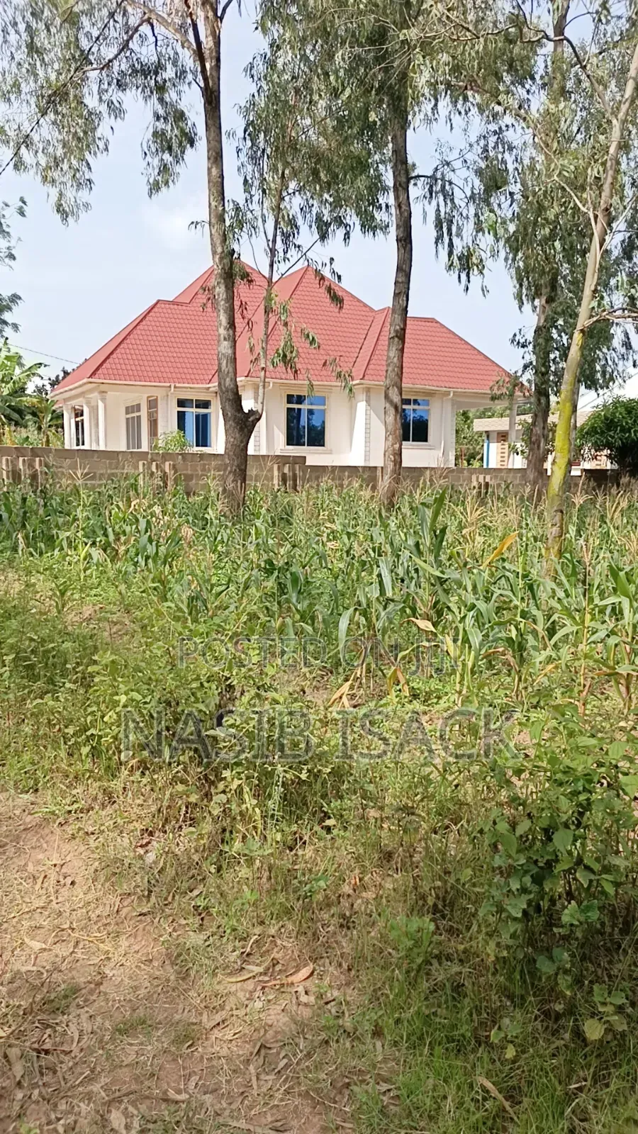 Plot for Sale Mwanza Ilemela Busweru in Buswelu