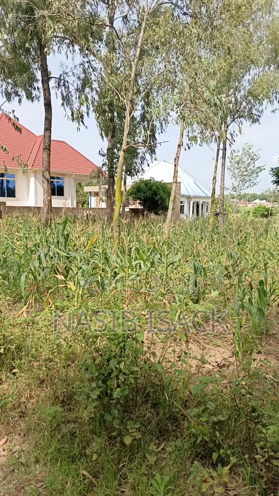 Plot for Sale Mwanza Ilemela Busweru in Buswelu