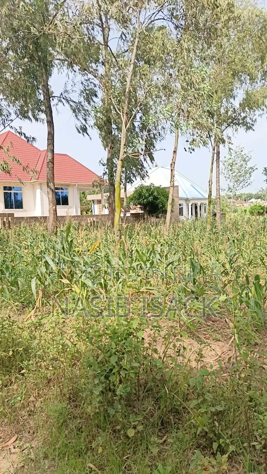 Plot for Sale Mwanza Ilemela Busweru in Buswelu