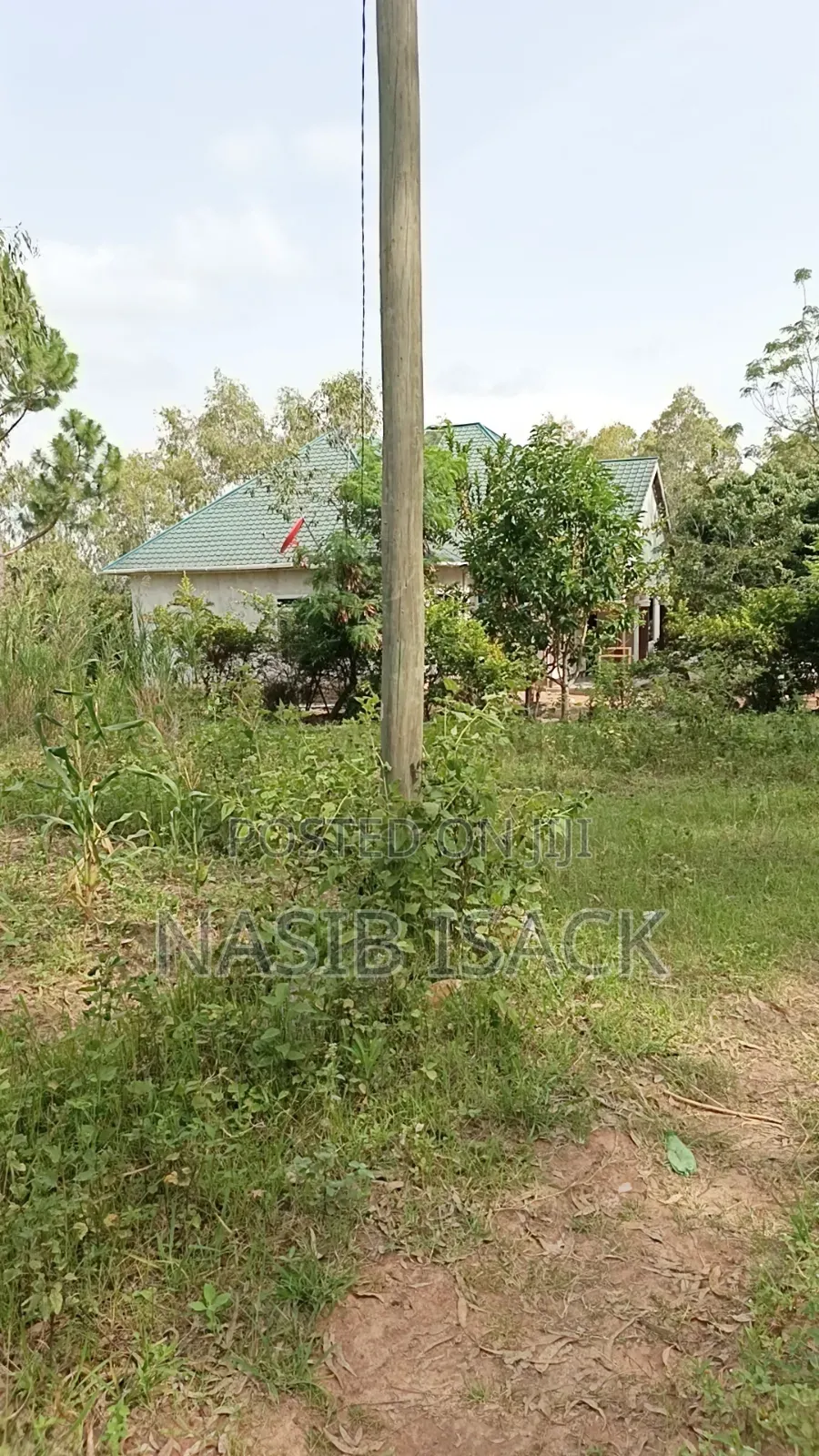Plot for Sale Mwanza Ilemela Busweru in Buswelu
