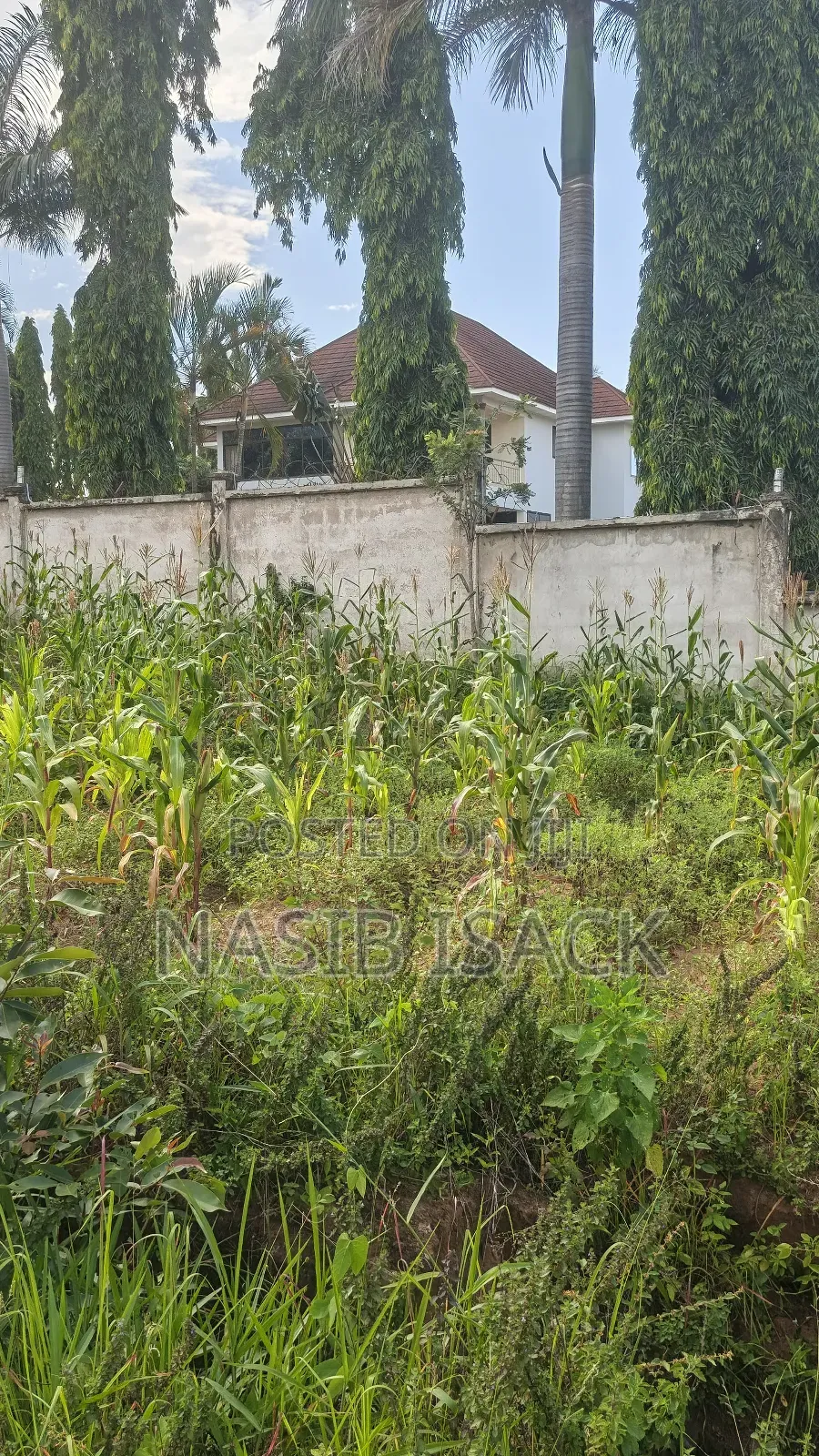 Plot for Sale Square Meter 1484 Kiseke Mwanza in Kiseke