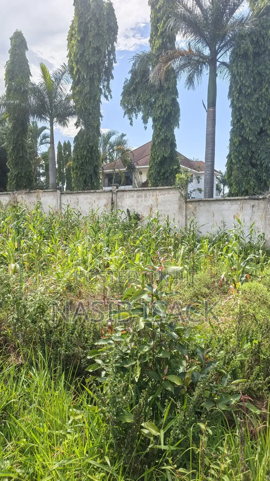 Plot for Sale Square Meter 1484 Kiseke Mwanza in Kiseke