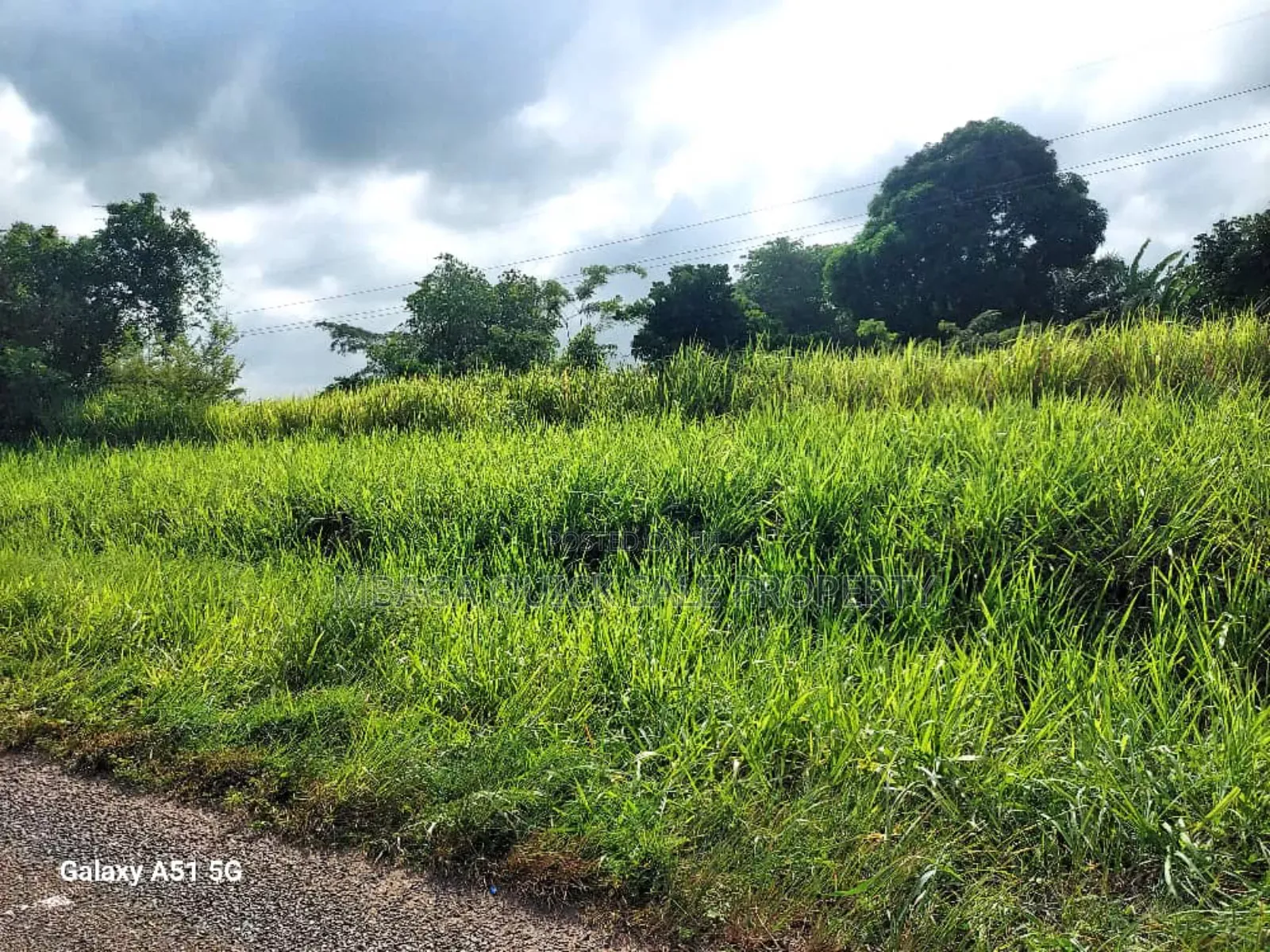 Plot for Sale at Bungu Pwani Nyuma Ya Bomba La Gas Acres 34 in Kibiti