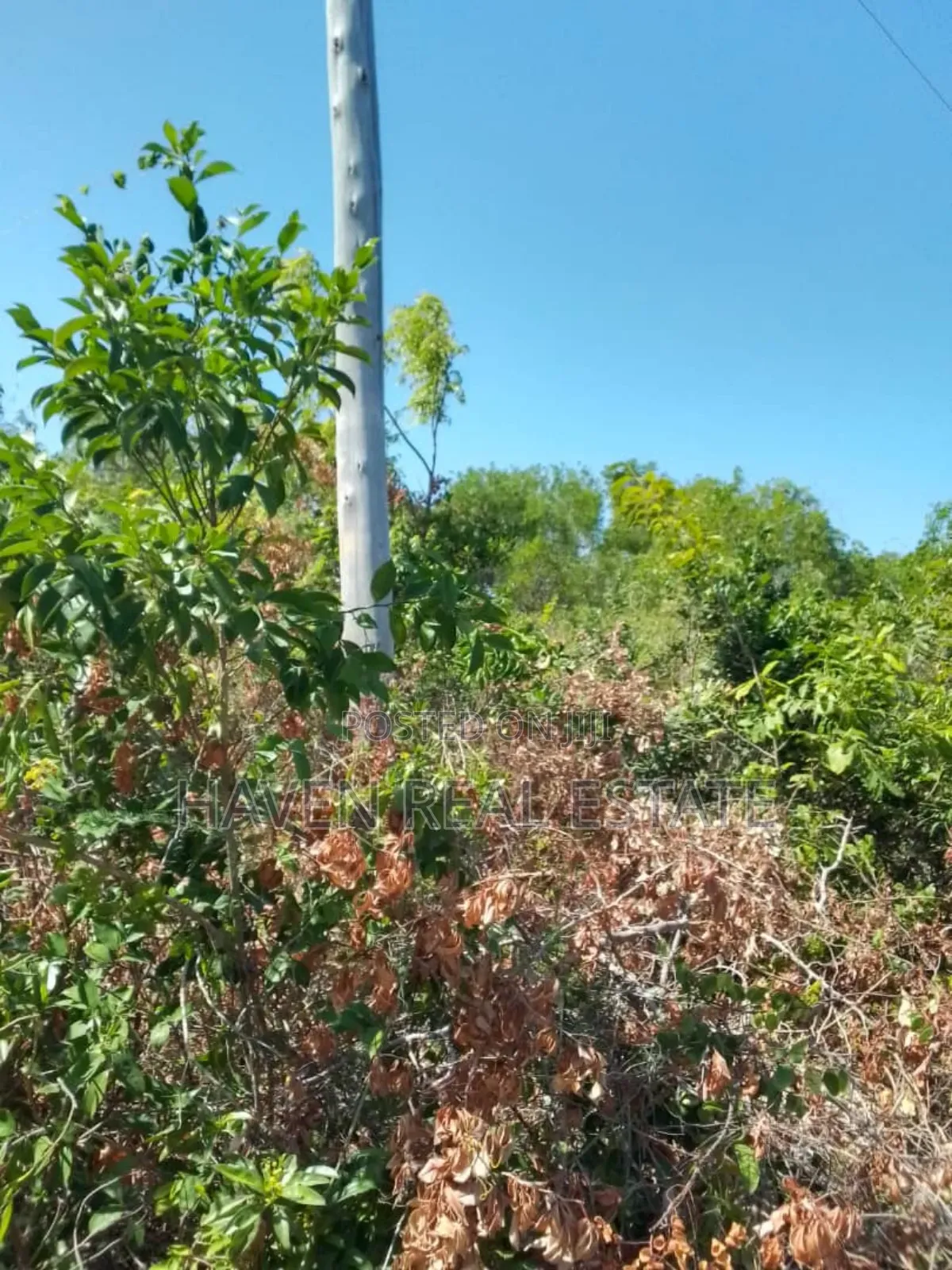 Second Beach Plot for Sale at Zanzibar in Unguja North