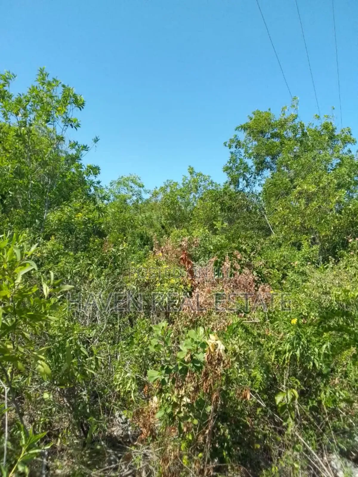 Second Beach Plot for Sale at Zanzibar in Unguja North