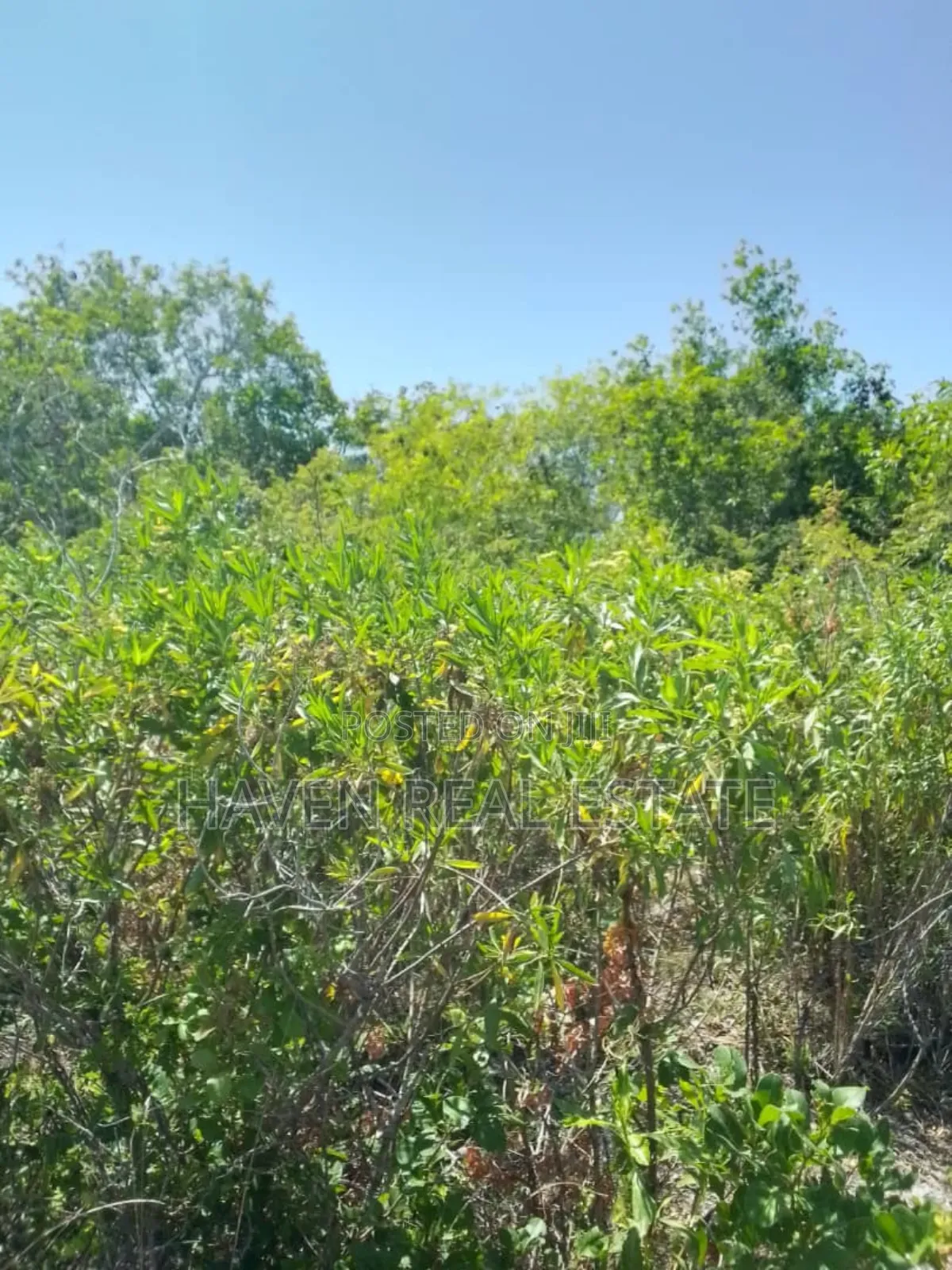 Second Beach Plot for Sale at Zanzibar in Unguja North