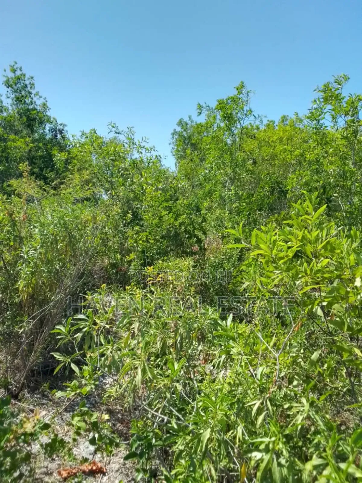 Second Beach Plot for Sale at Zanzibar in Unguja North