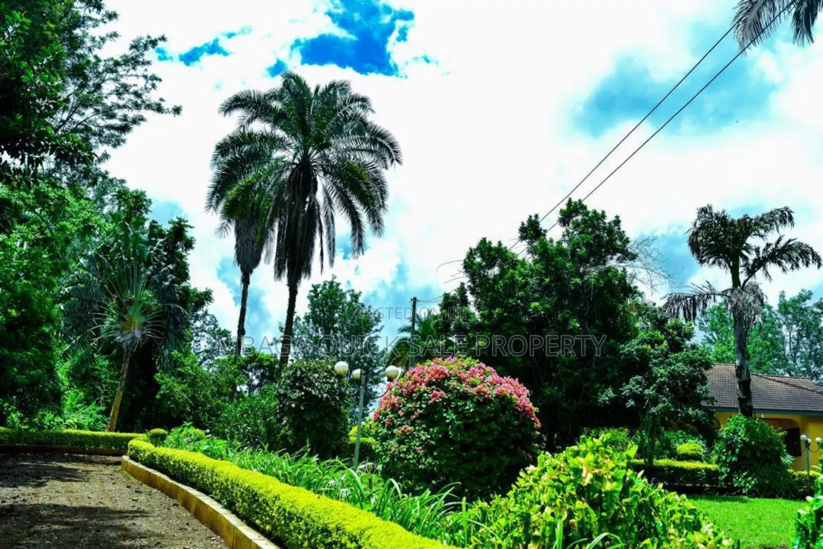 Plot With 3 Bed Room House for Sale at Arusha Njiro Kanisani SQM 8600 in Njiro