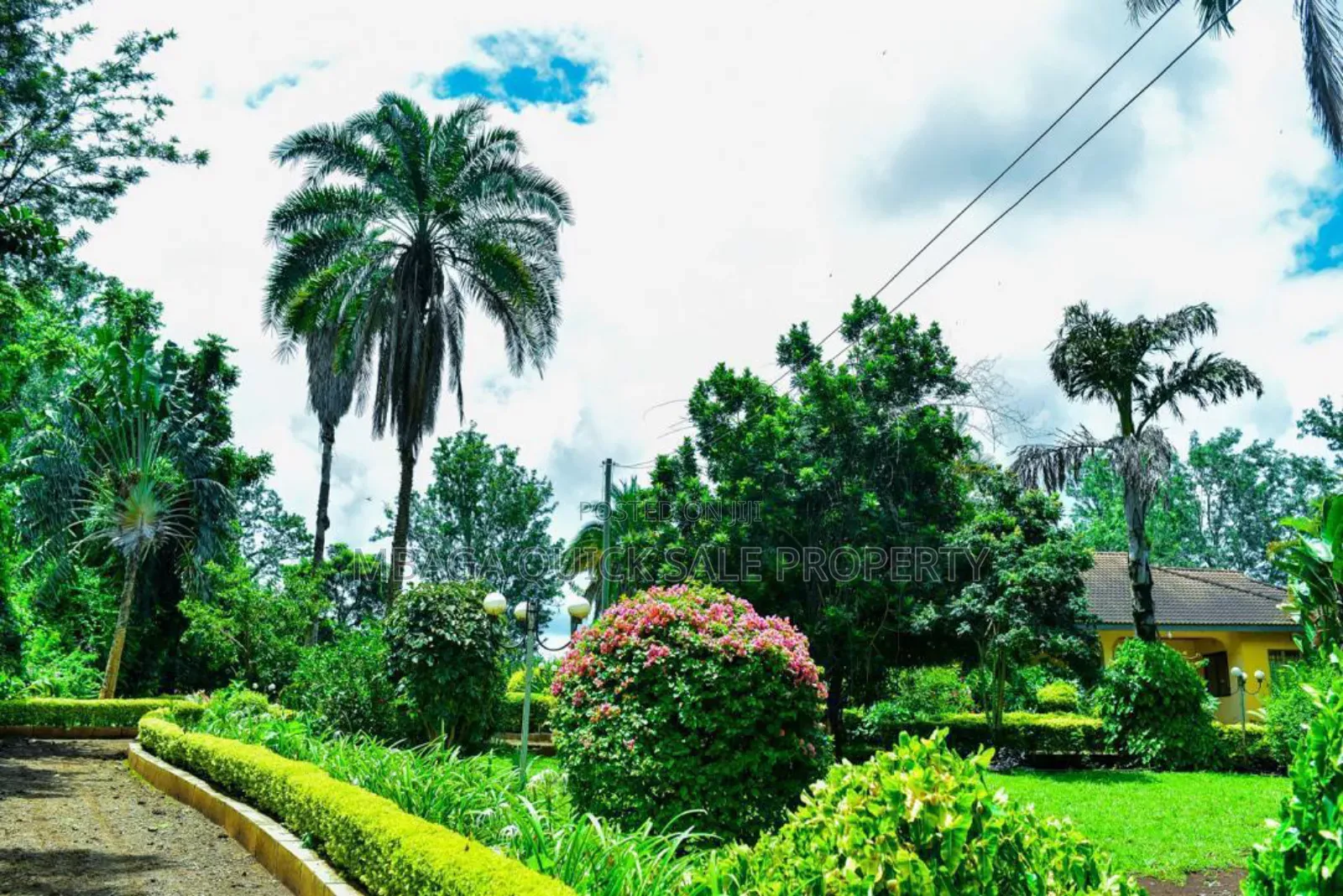 Plot With 3 Bed Room House for Sale at Arusha Njiro Kanisani SQM 8600 in Njiro