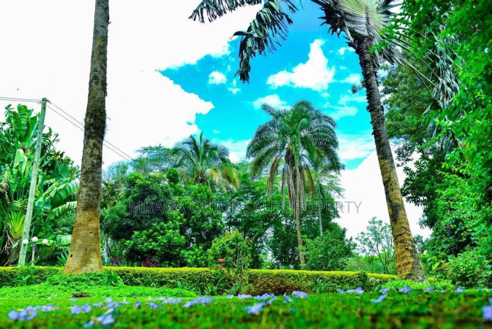 Plot With 3 Bed Room House for Sale at Arusha Njiro Kanisani SQM 8600 in Njiro
