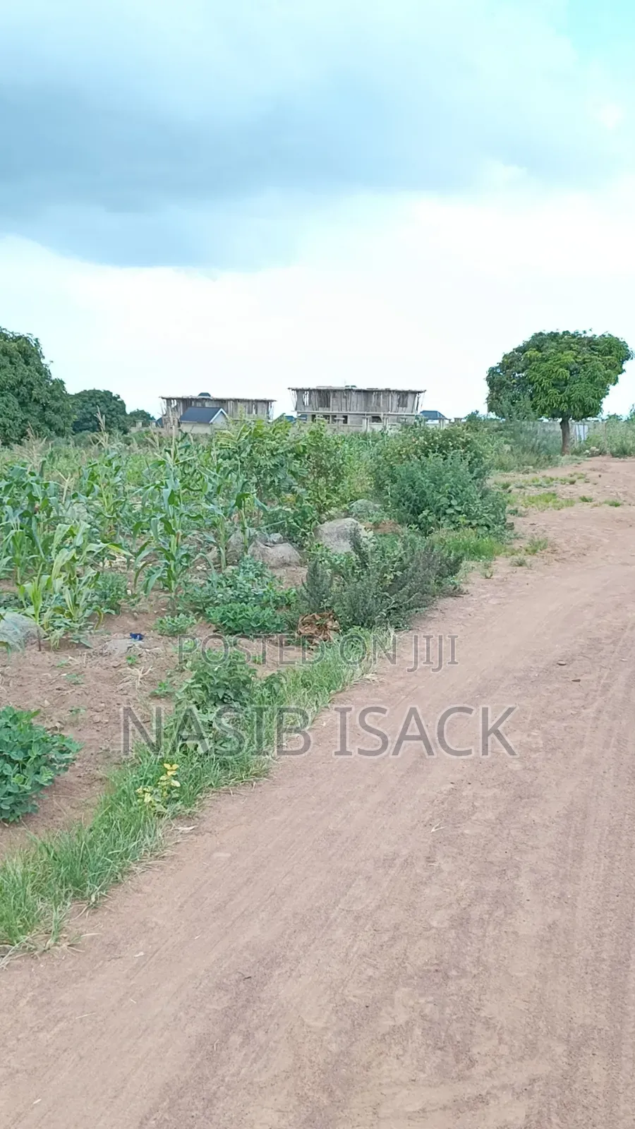 Plot for Sale Square Meter 1000 in Buswelu