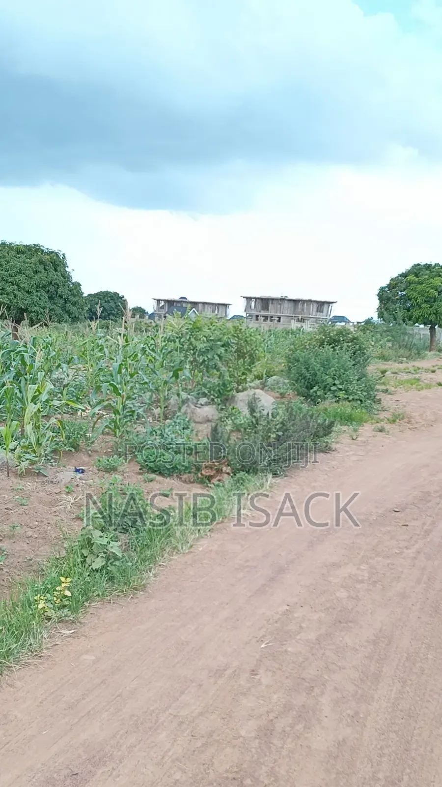 Plot for Sale Square Meter 1000 in Buswelu