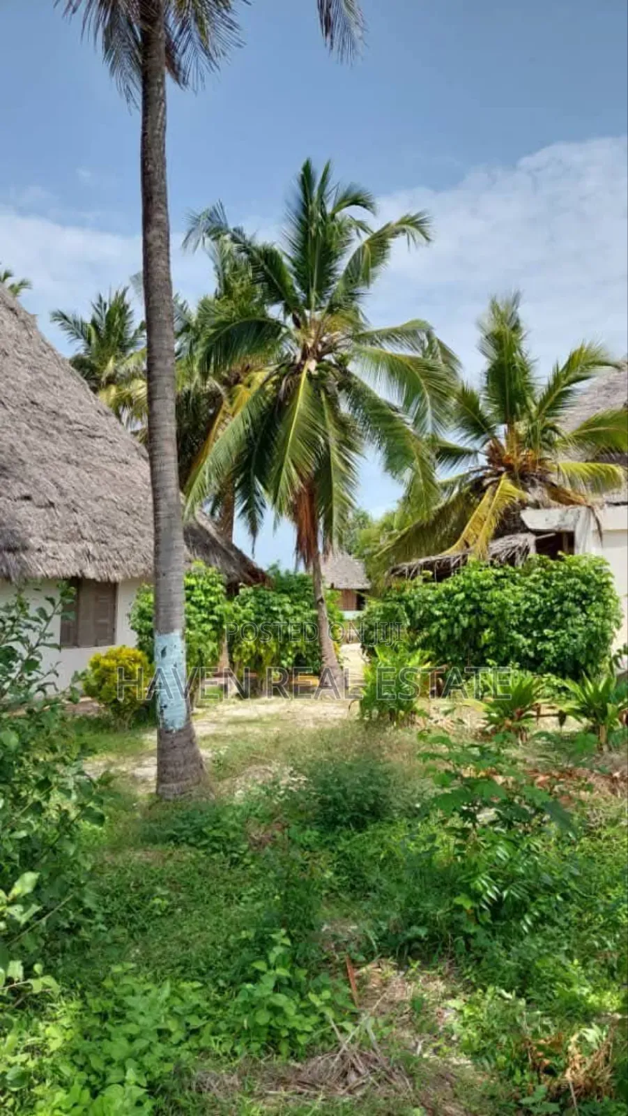Beach Plot or Old Hotel for Sale at Matemwe Zanzibar in Unguja North
