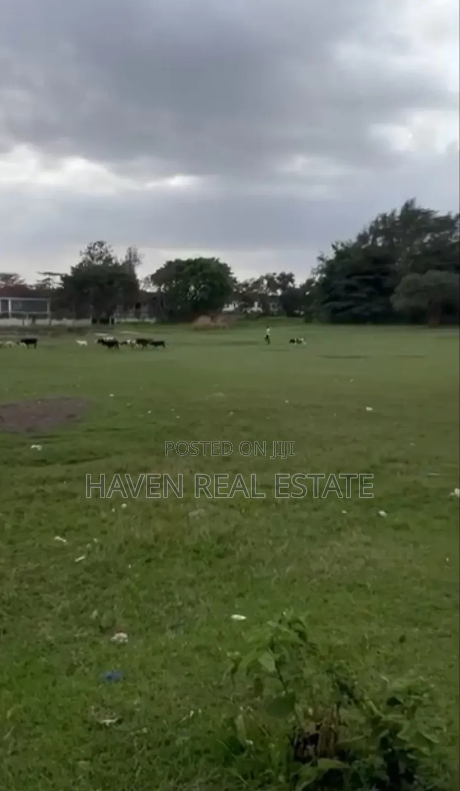 *Themi Industrial Area for Sale in Njiro, Arusha in Njiro