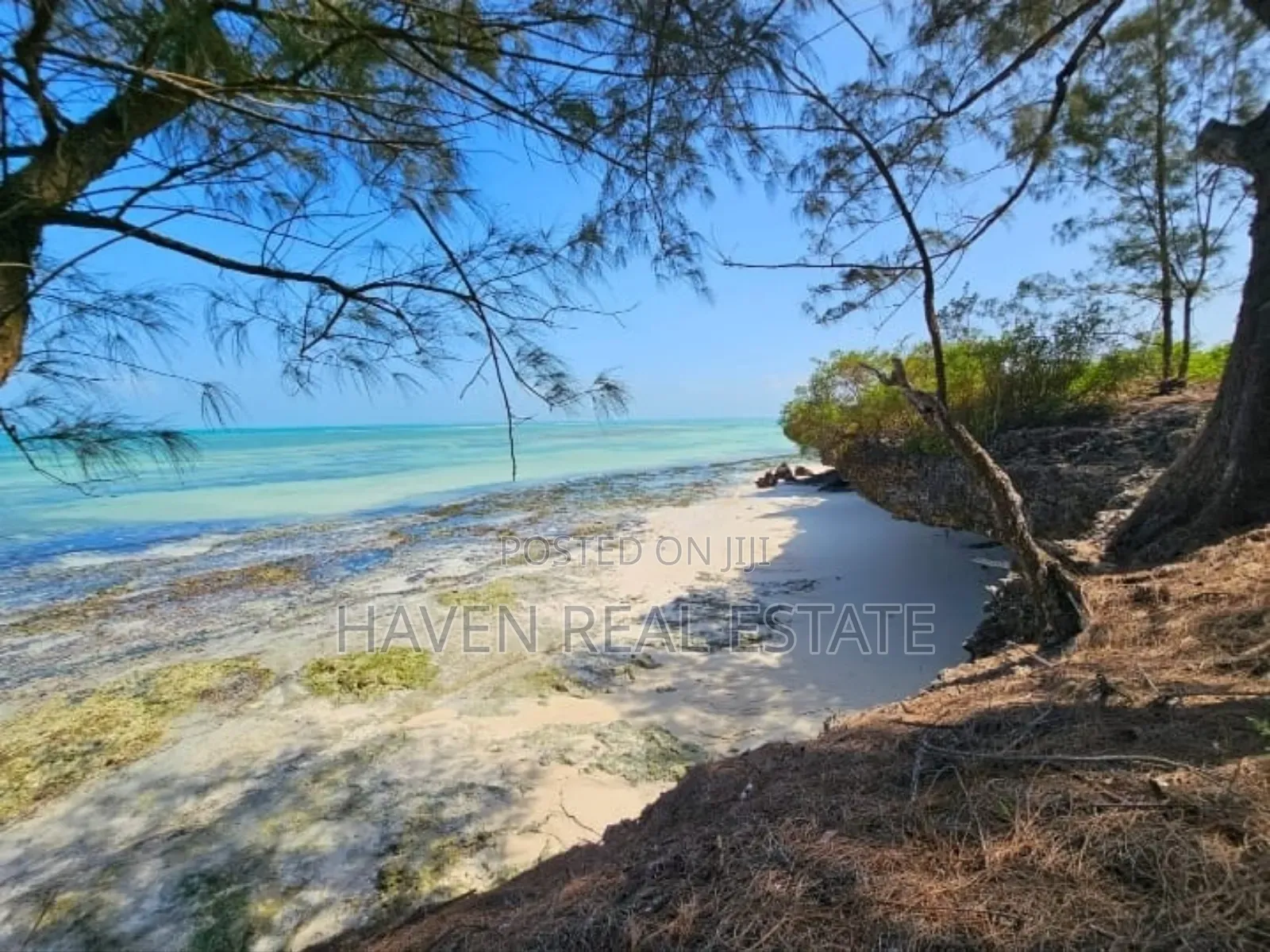  *Beachfront Land for Sale – Uroa, Zanzibar*  in Unguja North