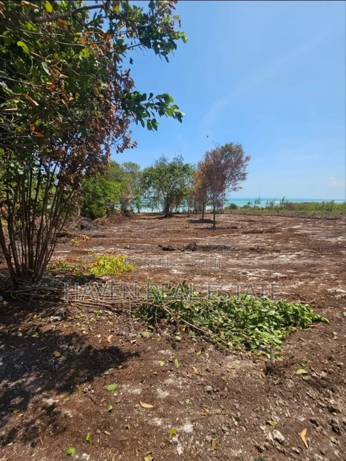  *Beachfront Land for Sale – Uroa, Zanzibar*  in Unguja North
