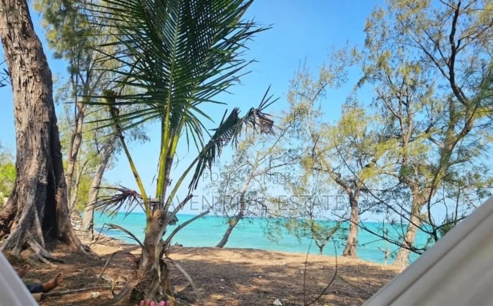  *Beachfront Land for Sale – Uroa, Zanzibar*  in Unguja North