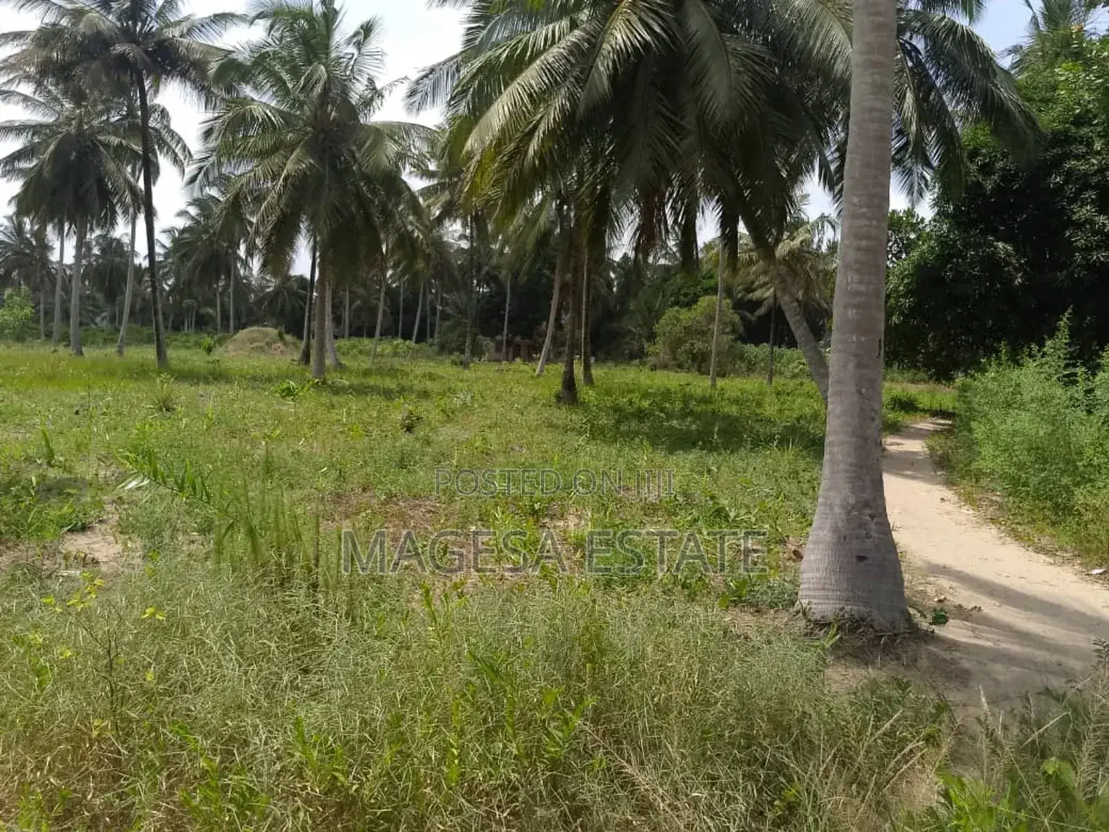 Land for Sale in Mkuranga Pwani in Bunju