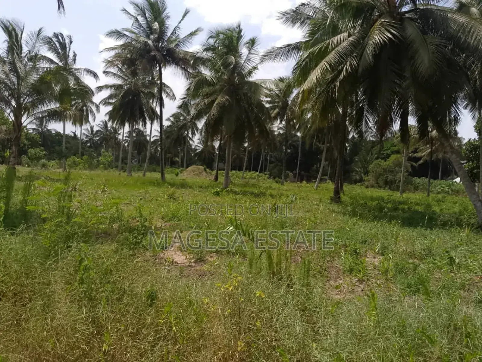 Land for Sale in Mkuranga Pwani in Bunju