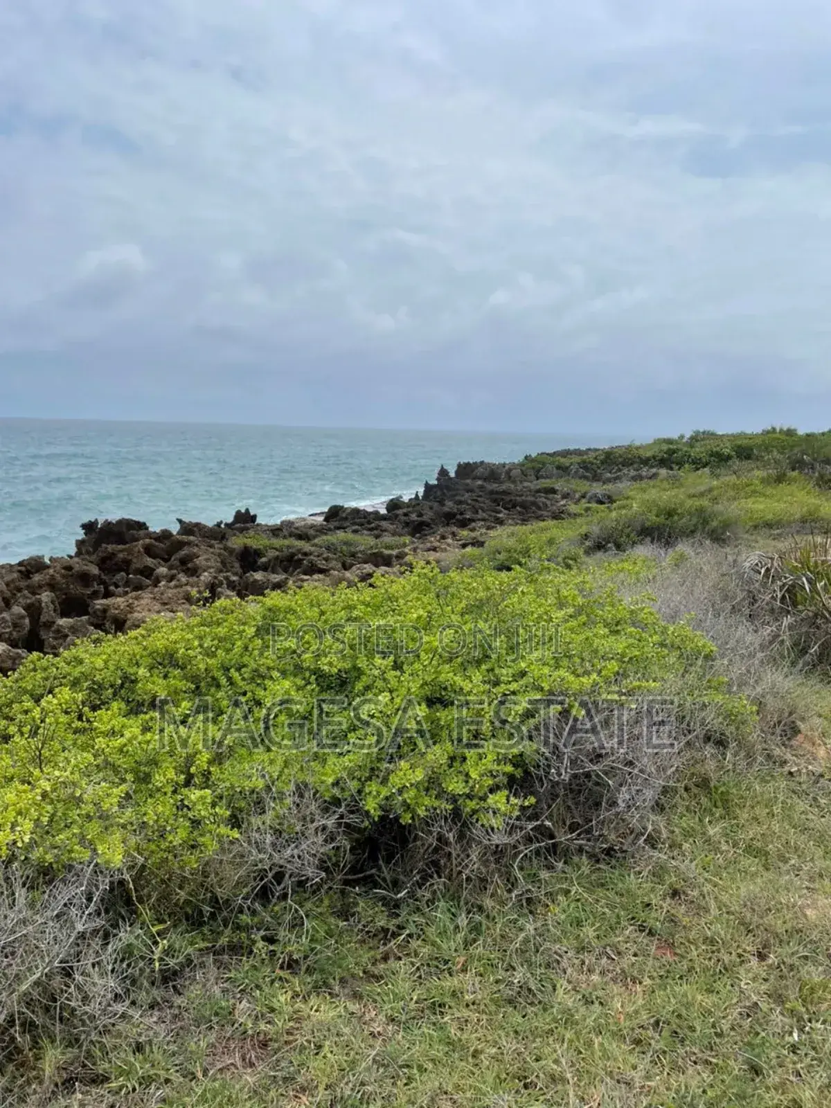 Beach Plot for Sale Kigamboni, Mbutu in Kigamboni