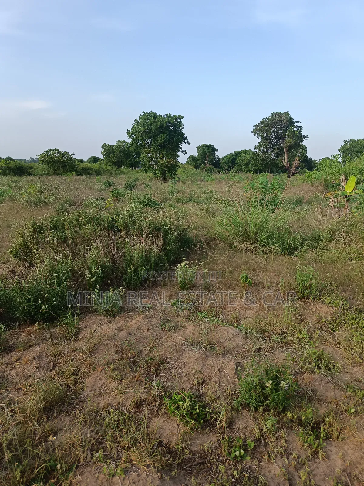 Beach Plot for Sale, Just Walking Distance to the Beach. in Zinga