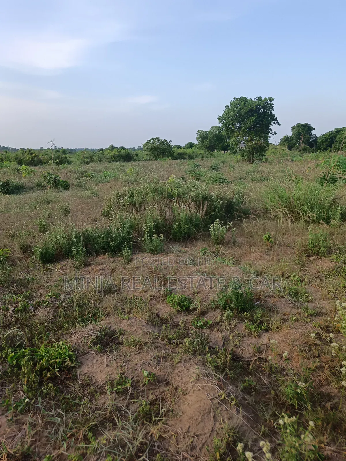 Beach Plot for Sale, Just Walking Distance to the Beach. in Zinga