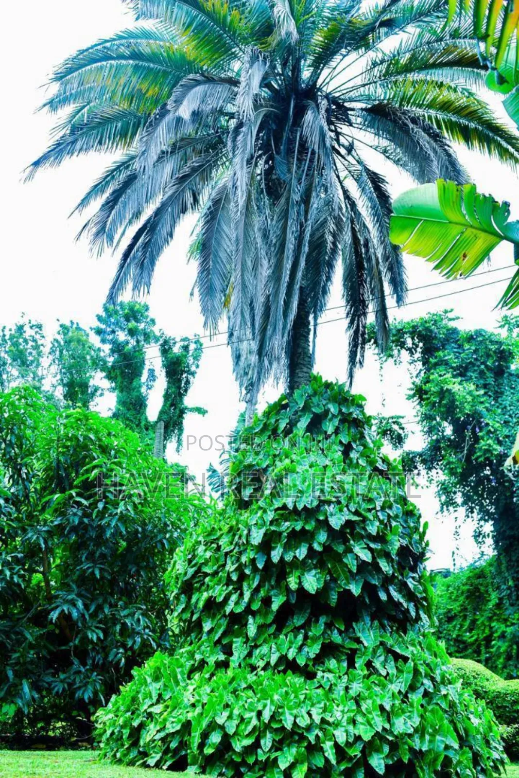 Plot for Sale at Njiro Arusha in Njiro