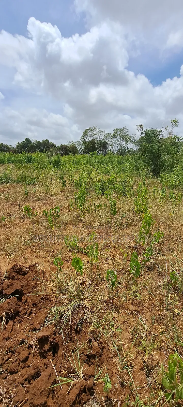 10 Acres Land for Sale at Bunju A in Bunju