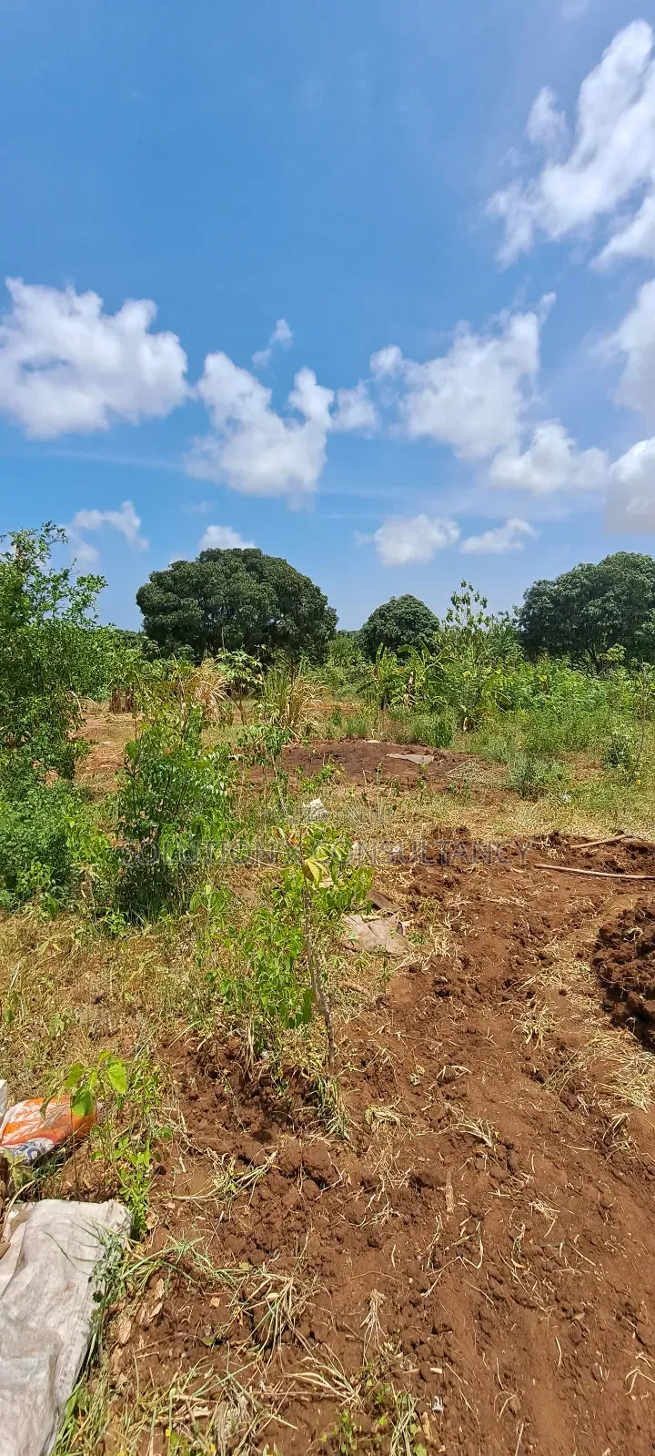 10 Acres Land for Sale at Bunju A in Bunju