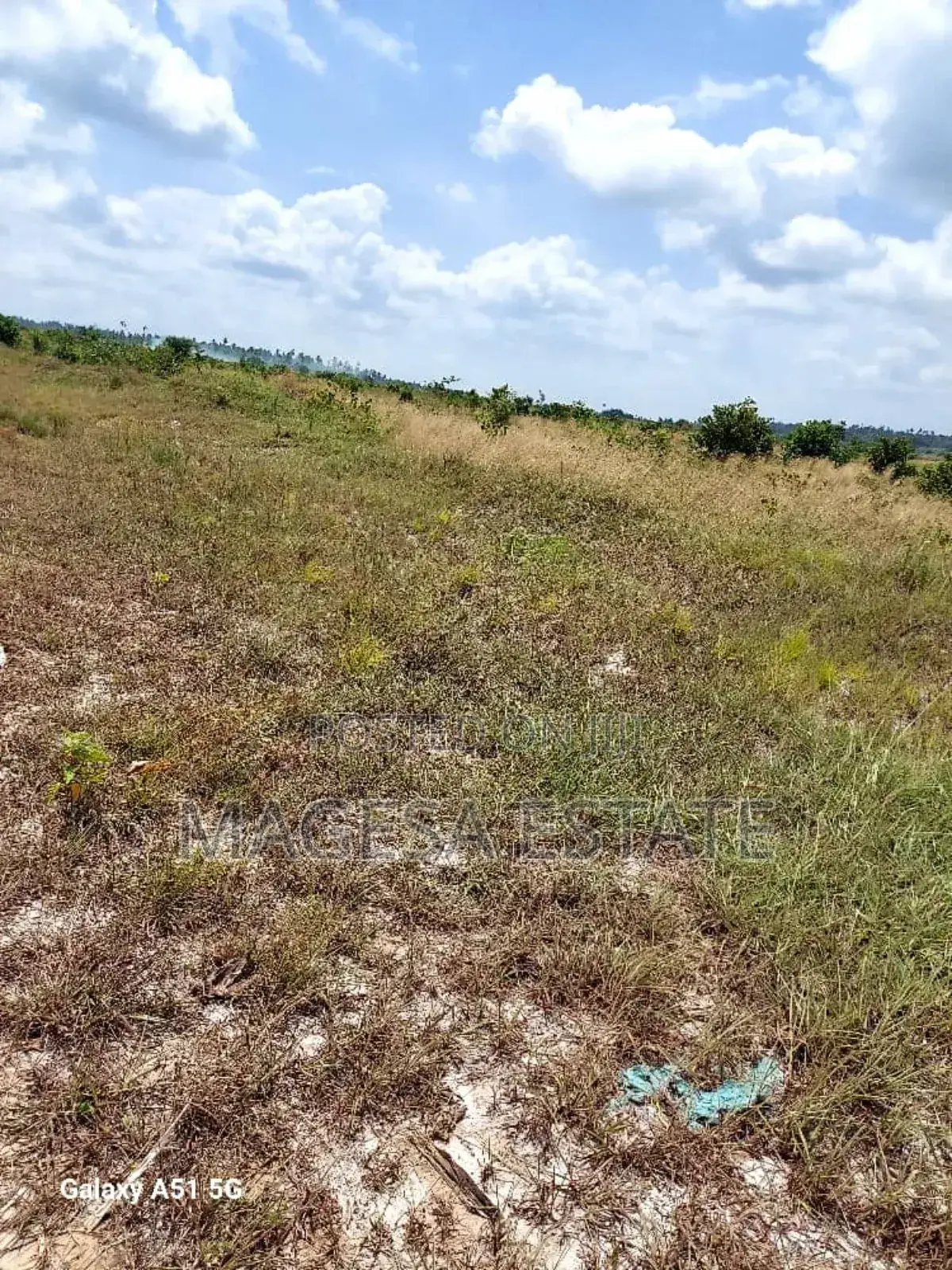 Land for Sale in Mkuranga, Pwani (207 Acres) in Kisiju