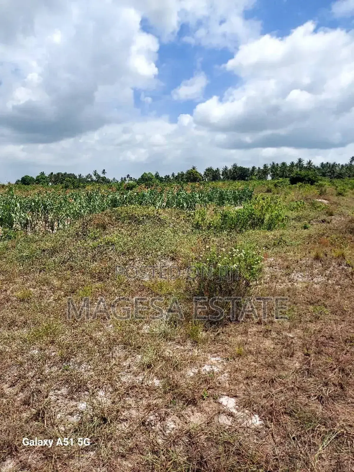 Land for Sale in Mkuranga, Pwani (207 Acres) in Kisiju