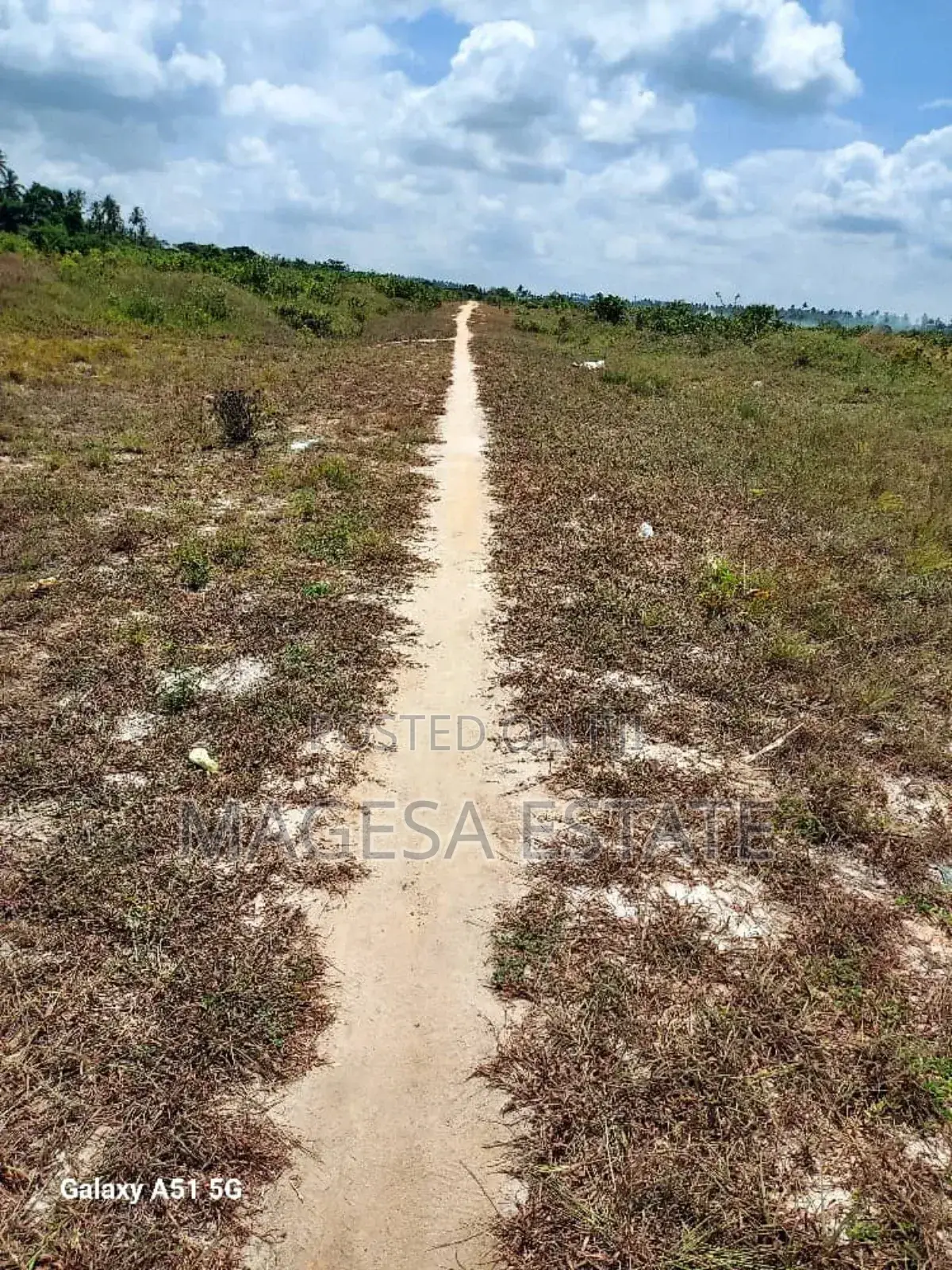 Land for Sale in Mkuranga, Pwani (207 Acres) in Kisiju