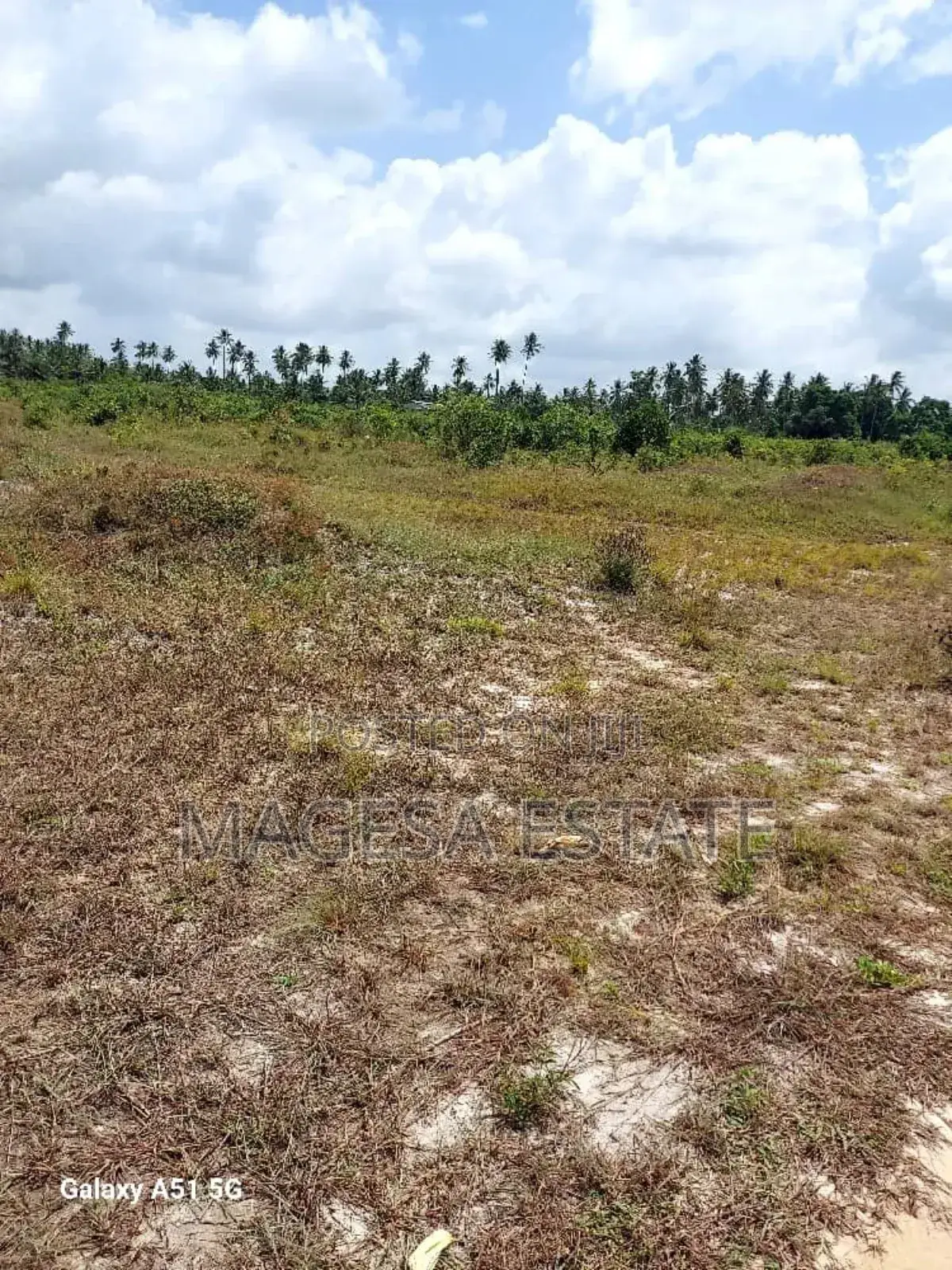 Land for Sale in Mkuranga, Pwani (207 Acres) in Kisiju