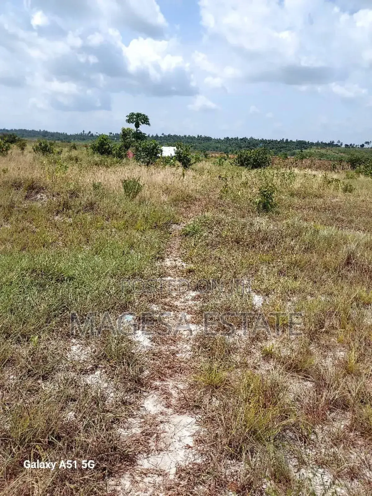 Land for Sale in Mkuranga, Pwani (207 Acres) in Kisiju