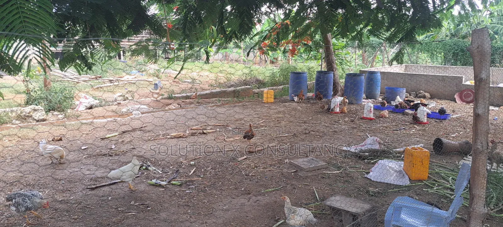 Shamba La Ekari Tatu Linauzwa Bunju A in Bunju