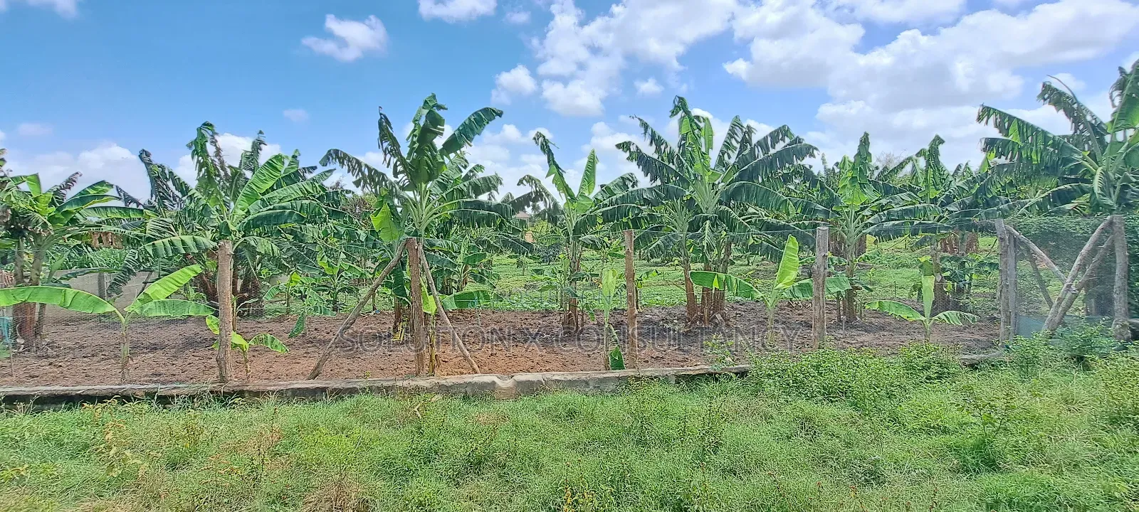 Shamba La Ekari Tatu Linauzwa Bunju A in Bunju