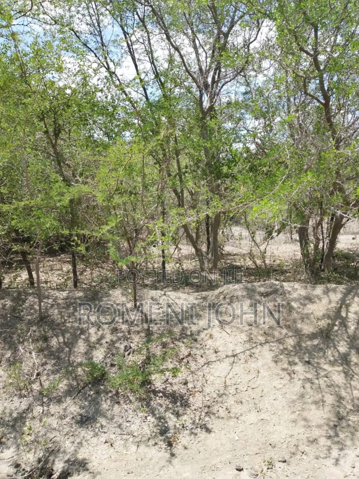 Shamba Heka 200 Linauzwa Milioni 160 Pwani Kwala Location. in Ilala