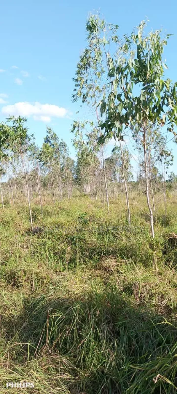 Farms With 325 Acres for Sale at Mkuranga in Mkuranga