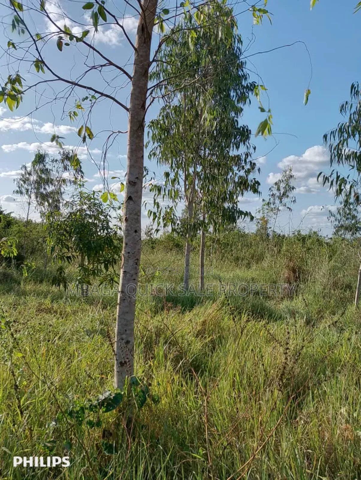 Farms With 325 Acres for Sale at Mkuranga in Mkuranga
