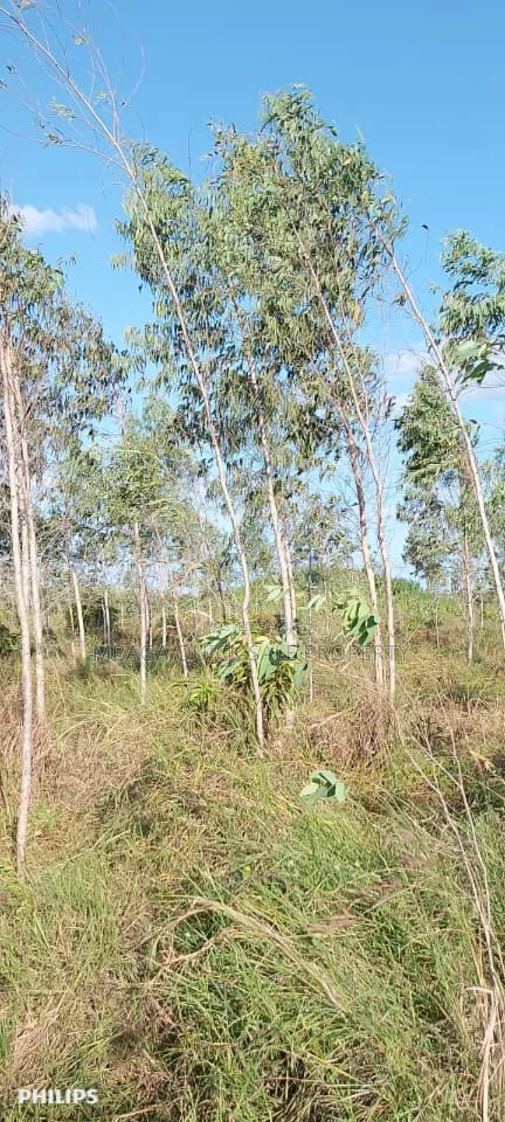 Farms With 325 Acres for Sale at Mkuranga in Mkuranga
